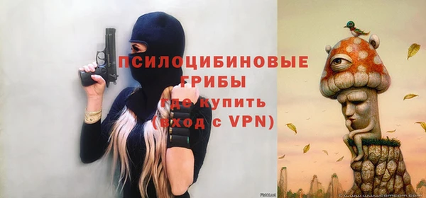 спайс Абинск