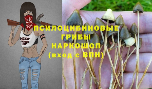 бошки Покачи